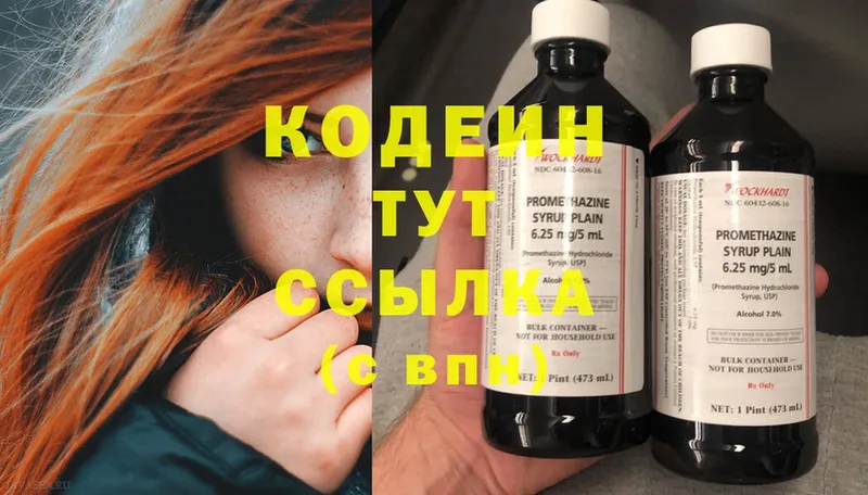 darknet официальный сайт  Белокуриха  Кодеин Purple Drank  сколько стоит 